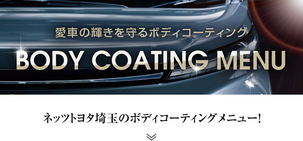 まとめ）トヨダプロダクツ メニューポケット ブラック CMP-1 1個〔×5